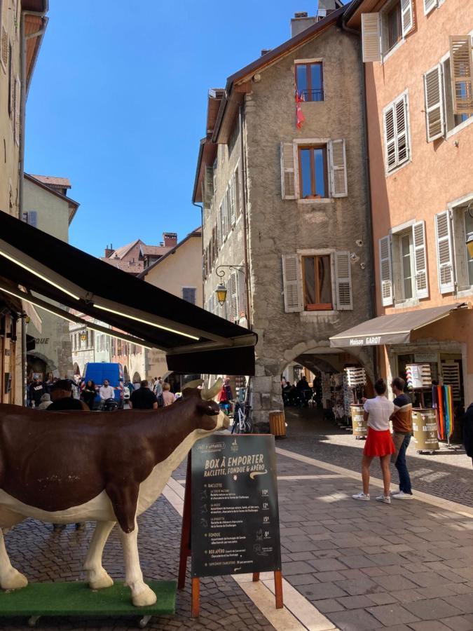 2 Pieces Cosy Apartment Annecy Luaran gambar